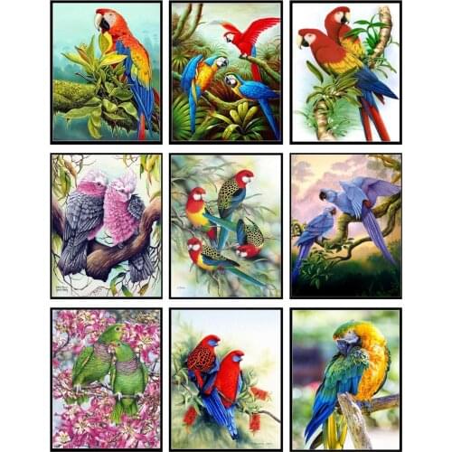 Counted Cross Stitch Kits Needlework Embroidery - 14 ct Aida DMC Color DIY Arts Handmade Home Decor - Parrot and Macaw