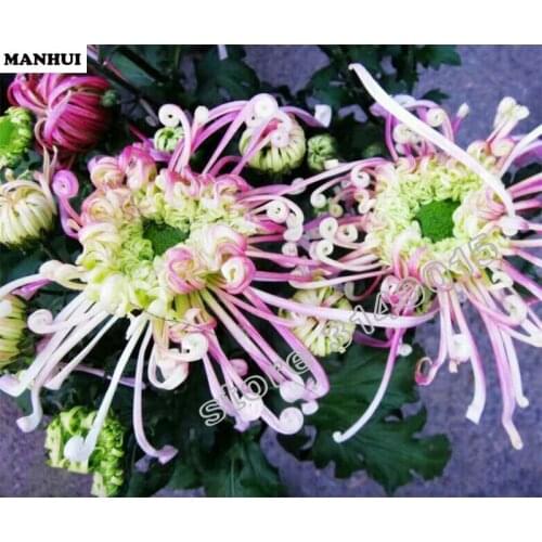 DIY Diamond painting Flower cross stitch Needlework 5D Spuare diamond embroidery resin diamond picture mosaic BEC045