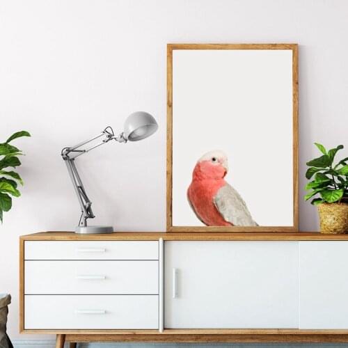 Pink Parrot Poster And Print Nature Tropical Animals Canvas Painting Wall Art Decor Scandinavian Style Pictures For Home