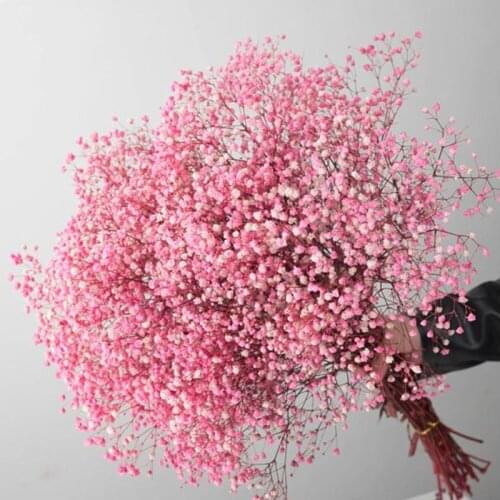 Natural Fresh Dried Preserved Flowers Gypsophila paniculata,Babys Breath Flower bouquets gift for Wedding Decoration,Valentines