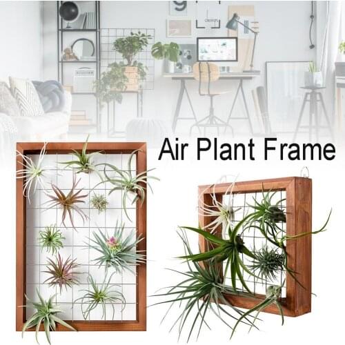 Air Plants Frame Wall Holder Air Plants Hanger Wall Display Flower Shelf Planter Basket With Hanging Hooks For Garden Home Decor