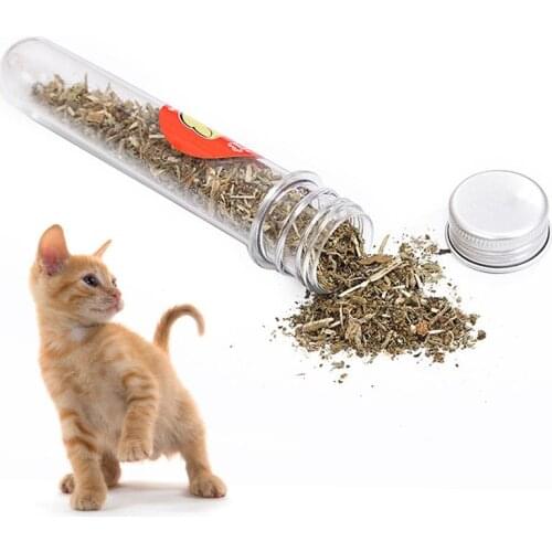 Simply Catnip Natural Organic Premium Catnip Catmint Menthol Flavor Can Be Sprinkled on Toys and Catnip Toys Dropshipping