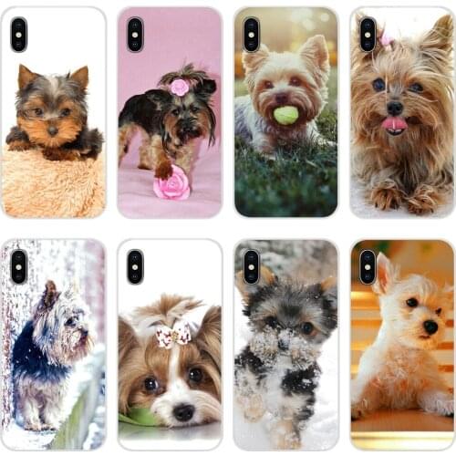 Cell Phone Case Covers Yorkshire Terrier Puppy Dogs animal For Samsung A71 A70 A60 A51 A50 A41 A40 A31 A30 A20E A21S A12 A10 M30