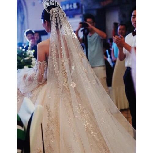Veil Bridal Wedding Ceremony Long Tail Veil 4M Champagne Lace Court Big Veils
