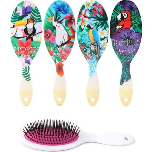 Beauty Cartoon Jungle Parrot Detangling Hair Comb Haircare Scalp Massage Airbag Styling Hair Brush Curly Barber Comb Wholesale