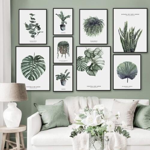 Monstera Plantain Palm Arrowroot Orchid Wall Art Canvas Painting Nordic Posters And Prints Wall Pictures For Living Room Decor