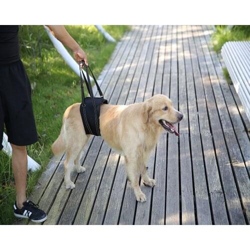 Elderly Disabled Paralyzed Dog Auxiliary Lifting Leash Pets Front and Back Leg Rehabilitation Training Walking Belt Accessories