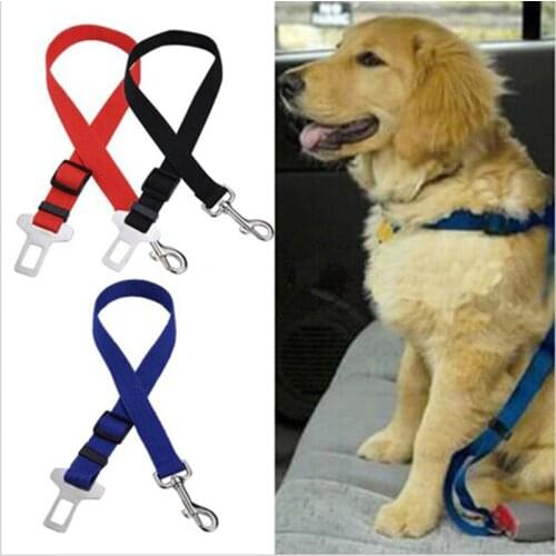 FUN OF PETS Leashes For Dogs