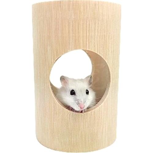 ANENG Rodent Tunnels