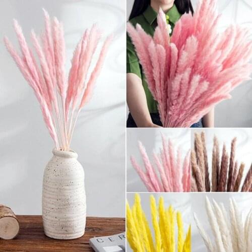 15PCS Natural /White Big Reed Dried Flowers Pampas Grass Phragmites Flower Bunch DIY Home Room Wedding Party Decorations