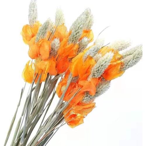 20Pcs Real Plants Pampas Grass Combination Artificial Dried Flowers Bouquet Wedding Nordic Style Home Decor Easter Decoration