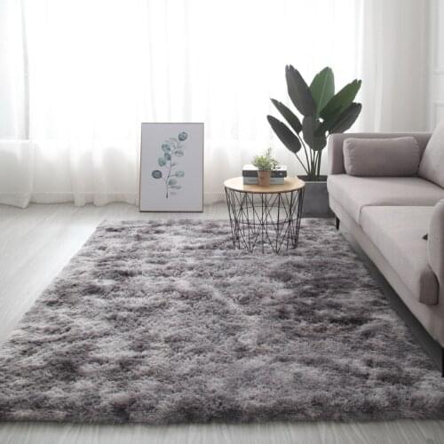 Nordic Living Room Carpet Coffee Table Cushion Home Room Balcony Bedroom Ins Style Bedside Rectangular Wall-to-Wall Carpet