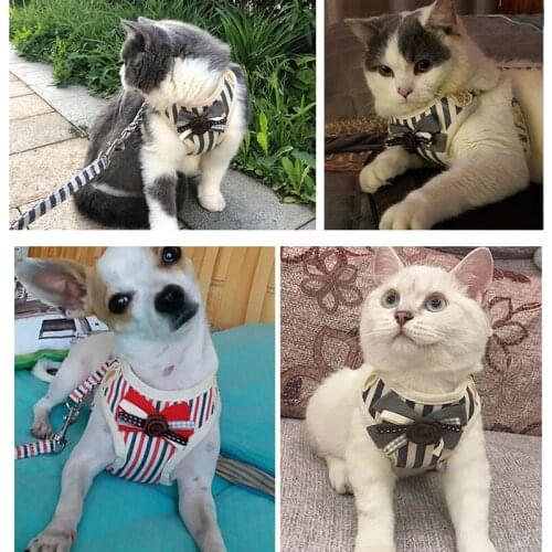 Dog Leash Vest pet Chest strap leashes Reflective dog rope Pet supplies Harnesses & Leads