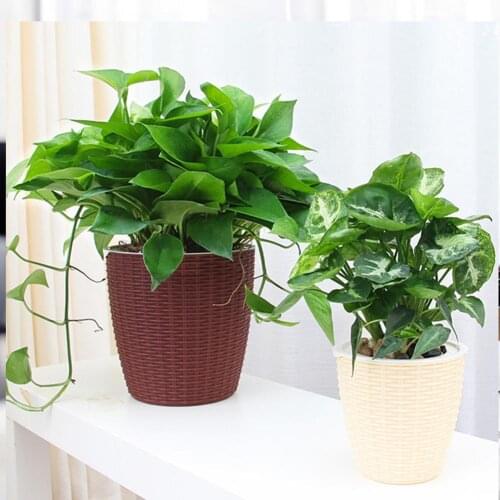 Plant Pot Cover Indoor Plastic Rattan Flower Cover Round Modern Decor Planter Durable SUB Sale
