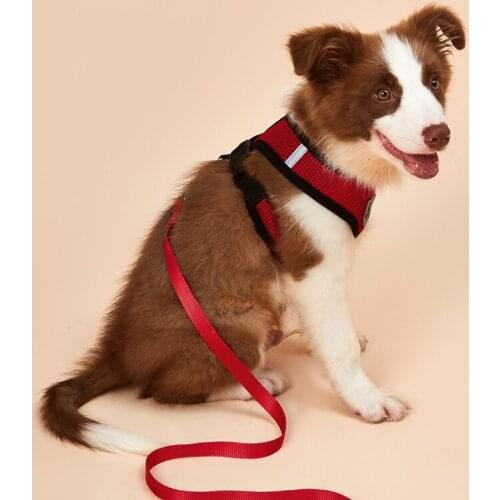 Dog Harness and Leashes Set Pet Breathable Vest Puppy Mesh Harness Dog Accessories Cat Adjustable Vest Pet Supplies retractable