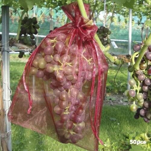 50pcs Garden Vegetable Fruit Plants Protection Bag Anti Bird Drawstring Netting Candy Makeup Mesh Pouch Agriculture Pest Control