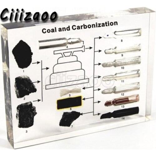 Coal and Carbonization Specimen paperweight Collection embedded In Clear Lucite Block Embedding Specimen