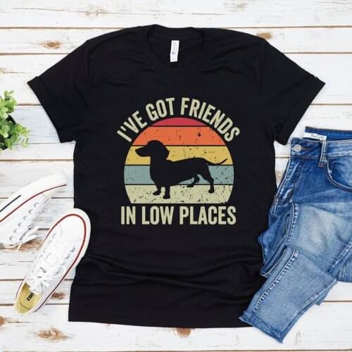 Dachshund T-Shirt Funny Gift for Dachshund Lover I've Got Friends In Low Places Tee Retro Vintage Dachshund Shirt Unisex T Shirt