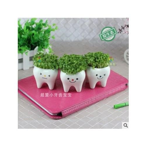 Bonsai Ceramic UOUwer Pot DIY Small Planter Succulent Plants Tooth Design KAR Drop Ship