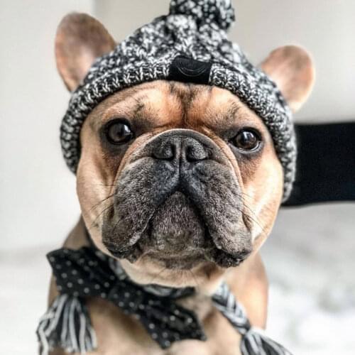 2021 Hot Knitting Dog Hat Autumn Winter Warm Windproof Knitted Hat Cute Costume Accessories Cap for Pet Dog