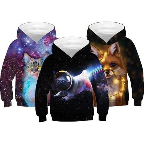 Digital Printing Cartoon Pattern Childrens Long-Sleeved Hooded Shirts Childrens Sports And Leisure Spring And Autumn Clothing