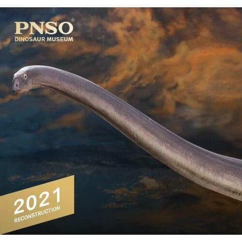 PNSO Dinosaur Museums Series New ER-MA The Mamenchisaurus 1:45 Scientific Art Models