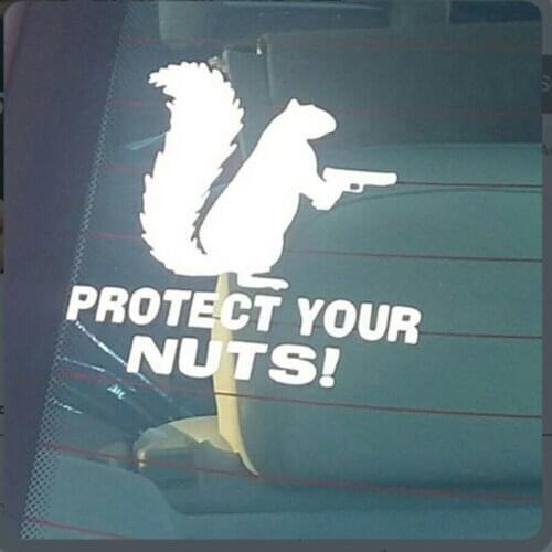 Protect Your Nuts Squirrel Police Army Navy Marines Car Stickers And Decals Creative Sticker