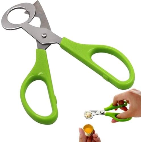 Pigeon Quail Egg Scissor Bird Cutter Opener Kitchen Tool Clipper Sale Shells Scissors Cracker Cigar Stainless Steel Blade Househ