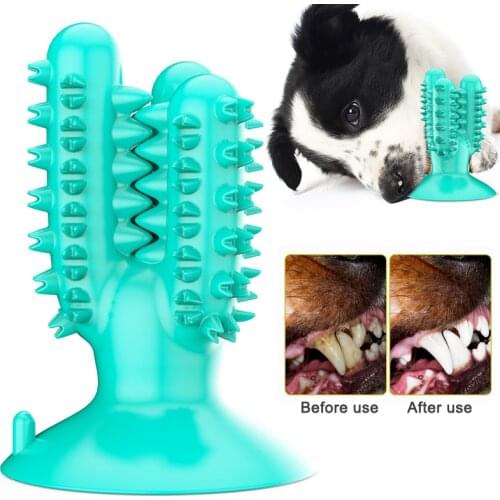 Pet Dog Toothbrush Chew Toy Doggy Brush Stick Soft Puppy Molar Toothbrush Toys Cleaning Teeth with Suction Cup