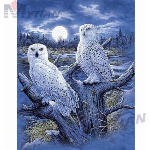5D DIY Full Square & Round Drilll Diamond Painting Cross Stitch "White Owls Couple" Diamond Embroidery Rhinestone Wall Art Gift