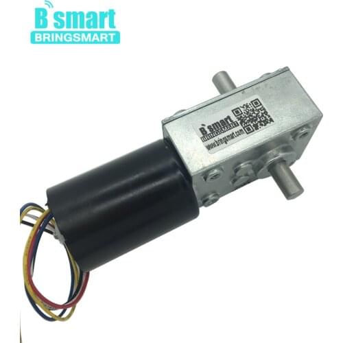 Bringsmart 5840-3650 Brushless Double Shaft 12V 24V DC Turbo-Worm Reducer Mini Self-locking Brake BLDC Motor Worm Gear Motor