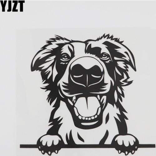 YJZT 14.6CMX13.5CM Cute Peeking Dog Border Collie Decal Vinyl Car Sticker Black/Silver 8A-0557