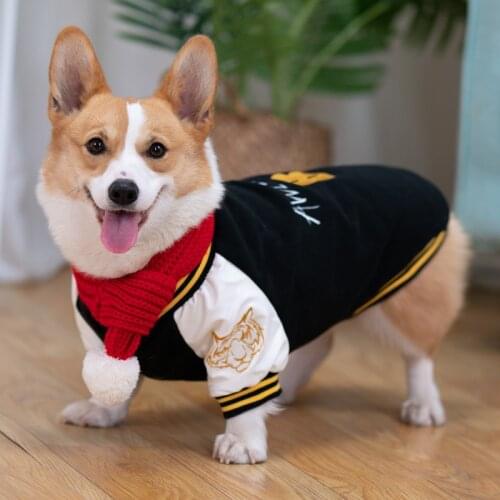 Autumn Winter Protect Corgi Tummy Warm Waterproof Pet Dog Clothes For Short Leg Pets Clothing Bulldog Pug Shiba Inu Costume N65
