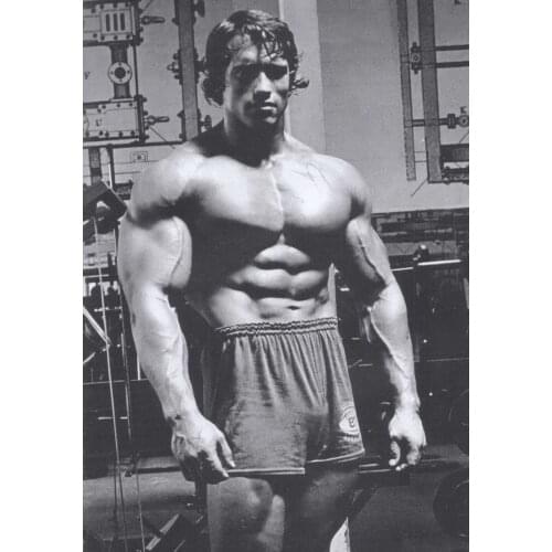 Home Decor -Bodybuilder Mr Olym 1-Silk Art Poster Wall Sicker Decoration Gift