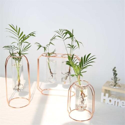 Modern Fashion Champagne Gold Hydroponic Flower Pot Vase Nordic Iron Rose Gold Vase Study Hallway Room Home Wedding Decoration