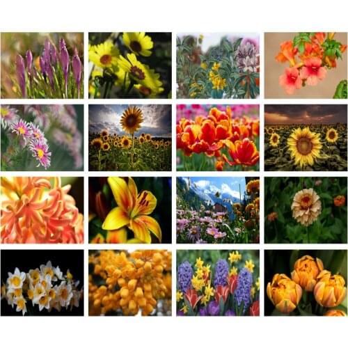 Zinnia Flower Diamond Painting Home Decoration Handmade Gift Narcissus Plant 5D DIY Square Round Mosaic Patch Diamond Embroidery