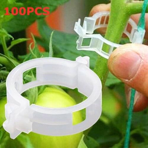 100 pcs Plant Vines Fixed Clip Tied Buckle Lashing Hook Vegetable Gadget Garden Plastic Fixed Buckle Agricultural Greenhouse