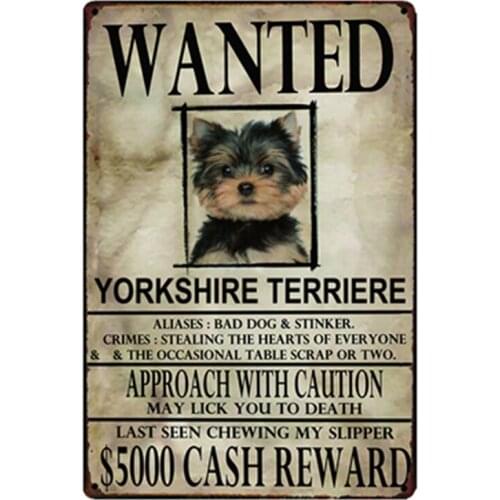 [ Kelly66 ] Ycrkshre Terriere Dogs Wanied Metal Sign Tin Poster Home Decor Bar Wall Art Painting 20*30 CM Size y-2089