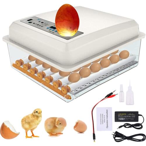 Incubator Eggs Brooder Chicken Fully Automatic Farm Bird Quail Incubator Hatchery 36 Eggs Incubator Poultry Hatcher Turner