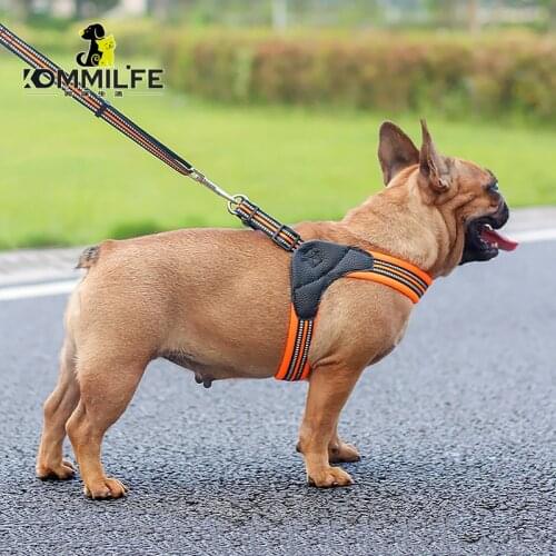 Nylon Breathable Dog Harness Reflective Dog Harness and Leash Set Pet Collar Leash For Dogs Small Medium Large Dog Accessories
