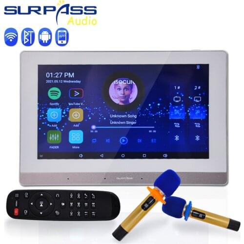 WIFI Bluetooth In Wall System Android Amplifier Wireless Microphone Home Theater Background Music Karaoke Sound Amplificador