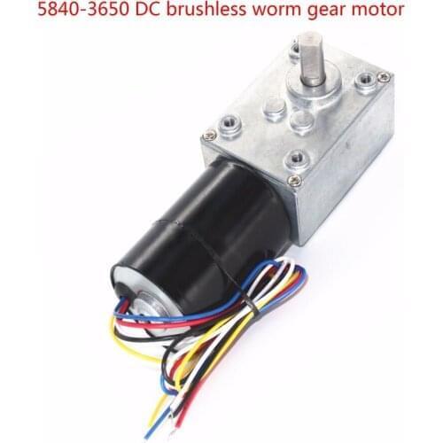 5840-3650 Brushless DC Worm Gear Motor, 12V24V Brushless Motor, Self-locking Braking Motor