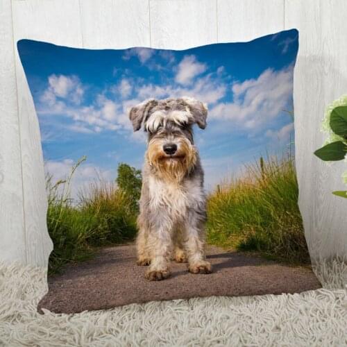 Pillow Cover Customize Schnauzer Pillow Case Modern Home Decorative Pillowcase For Living Room 45X45cm,40X40cm A2020.4.29