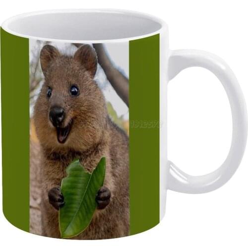 Cvocca Quokka White Mug 11oz Ceramic Tea Cup Coffee Mug Friends Birthday Gift Cvocca Quokka Animal Funny Smile Crazy Cute Cuties