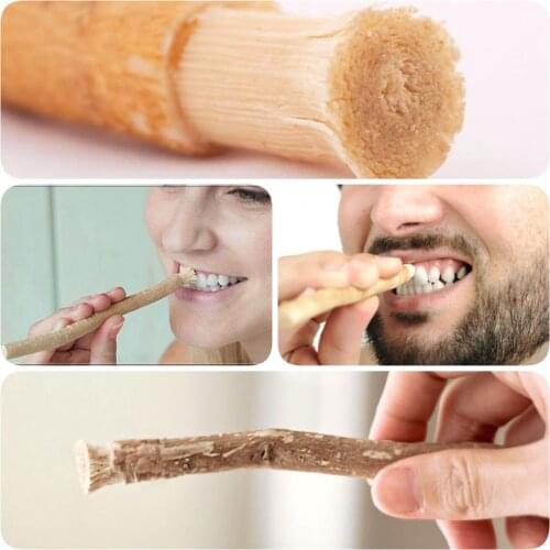 Türk 10 Set Taze Doğal Vakum Diş Fırçası Müslümanlar Misvak Siwak Arak Diş Temizleyici Yumuşak Çevre Dostu Fırça Arapça