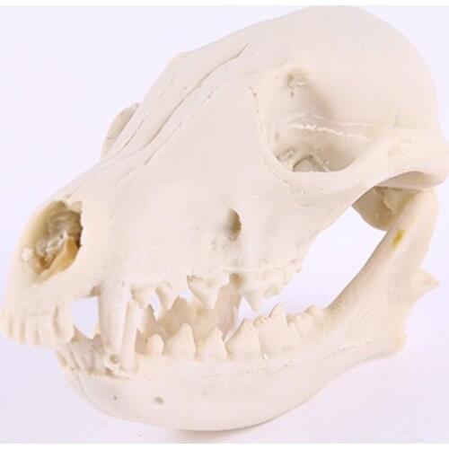 Resin Lowrie Skull Skeleton Figurine Aquarium Fish Tank Landscape Decoration