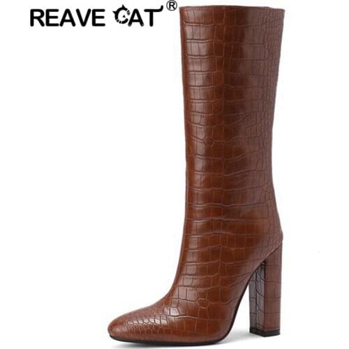 Reave Cat Fashion Ladies Wide Leg Knee High Boots Pull On Pointed Toe Suede 11cm Block Heel Ladies Party Plus Size 34-43 S2468