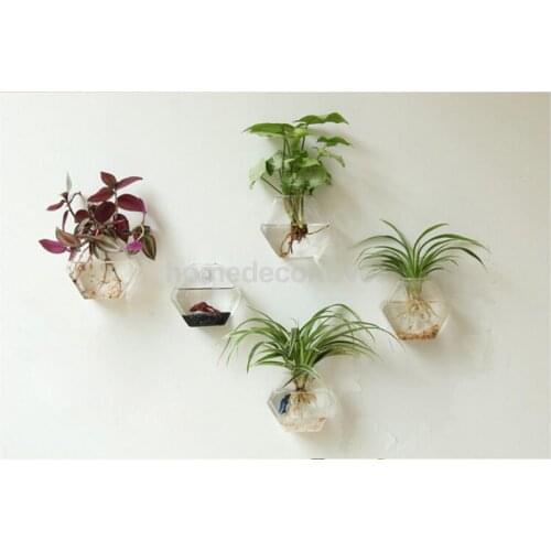 Flower Plant Wall Hanging Clear Glass Vase Bottle Pot Garden Hexagon Decor