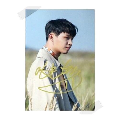 Signed BTOB LIM HYUN-SIK HYUN SIK autographed photo Brother Act 6 inches free shipping K-POP 112017B