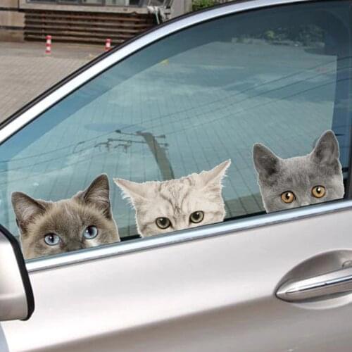 Funny 3D Cat Dog Half a face Peeking car sticker Wall background Art decals decorations cute animal wall stickers for home decor